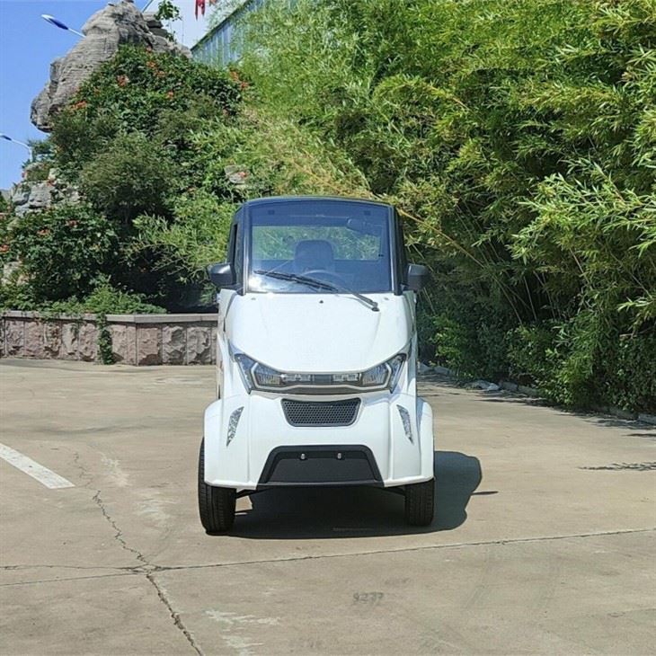 Europe E-MARK Cheap Mini Closed Motorcycle Electric Tricycle For Passenger